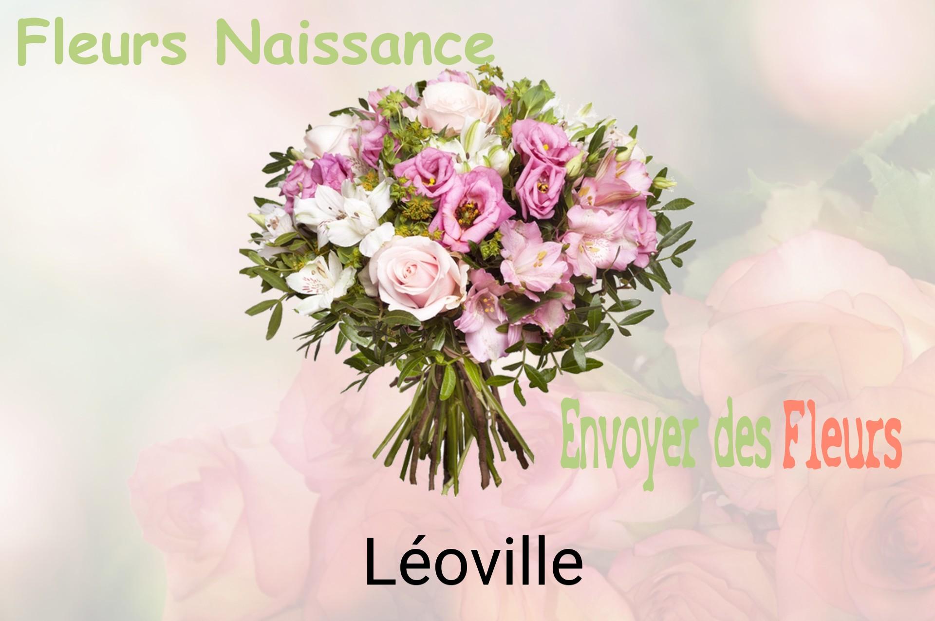 Bouquet de fleurs de naissance livré à Léoville