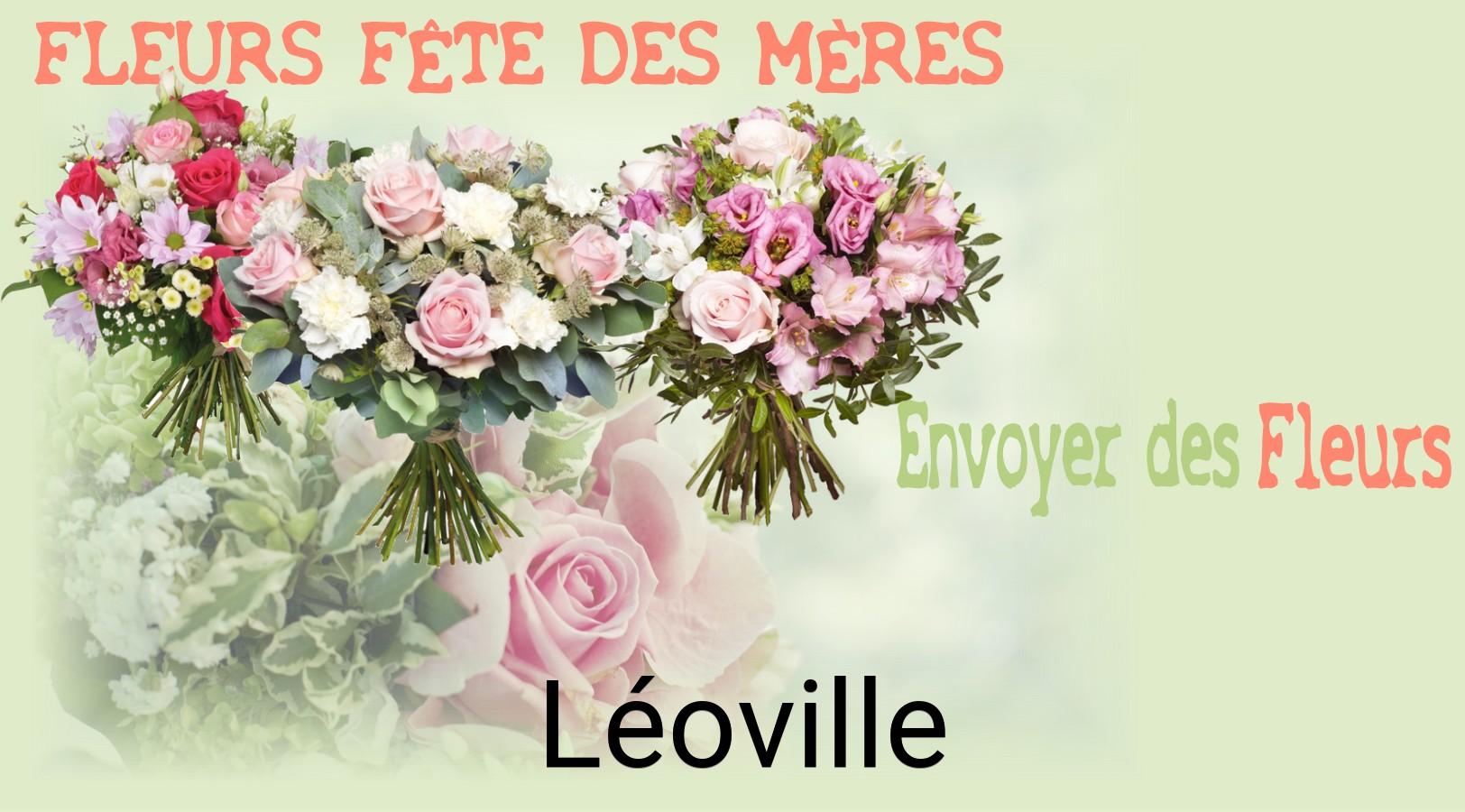 Bouquet de Fête des Mères livré à Léoville